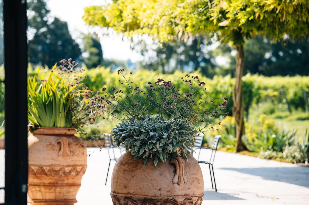 Dimora Buglioni Wine Relais Βίλα San Pietro in Cariano Εξωτερικό φωτογραφία