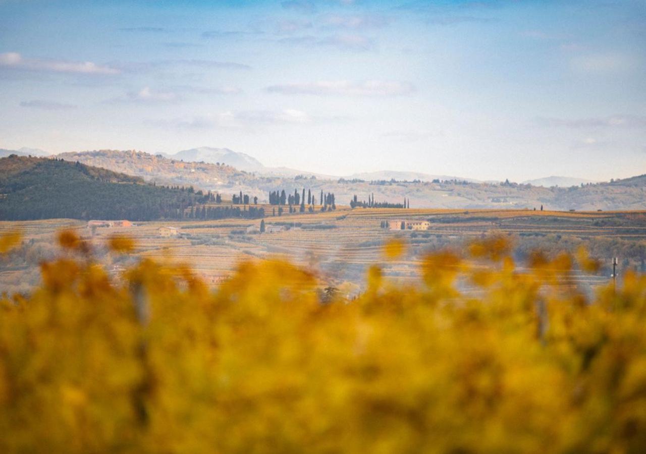 Dimora Buglioni Wine Relais Βίλα San Pietro in Cariano Εξωτερικό φωτογραφία