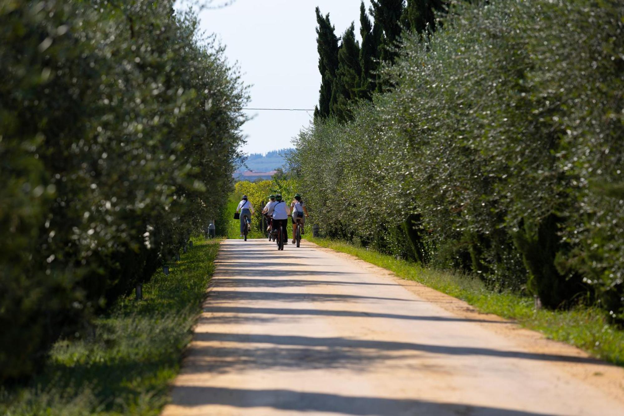 Dimora Buglioni Wine Relais Βίλα San Pietro in Cariano Εξωτερικό φωτογραφία