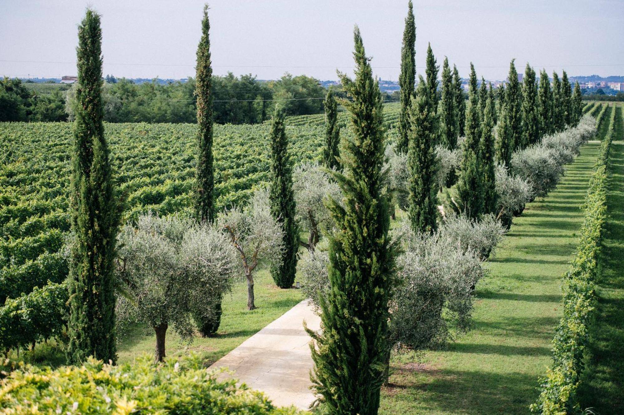 Dimora Buglioni Wine Relais Βίλα San Pietro in Cariano Εξωτερικό φωτογραφία