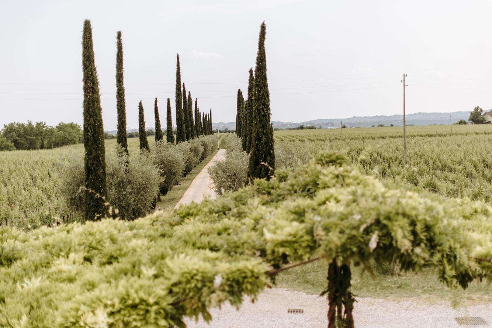 Dimora Buglioni Wine Relais Βίλα San Pietro in Cariano Εξωτερικό φωτογραφία